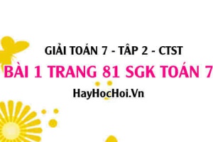 Giải bài 1 trang 81 Toán 7 tập 2 SGK Chân trời sáng tạo